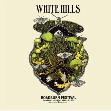 Live at Roadburn 2011