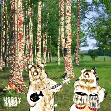 Karpet Birch