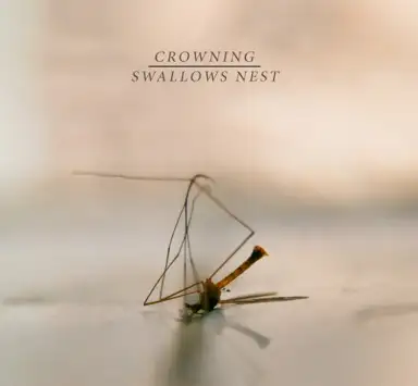 Crowning / Swallows Nest - Split