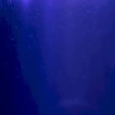 Caruso (live)