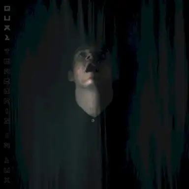 Tenebris In Lux