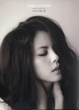 나무가 되는 꿈