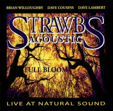 Full Bloom - Live at Natural Sound