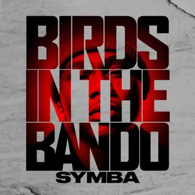 Birds in the Bando