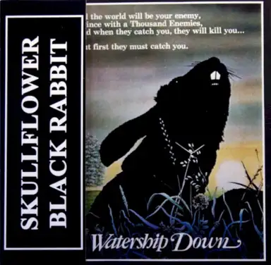 Black Rabbit