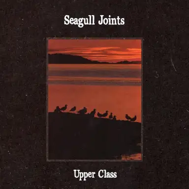 seagull joints