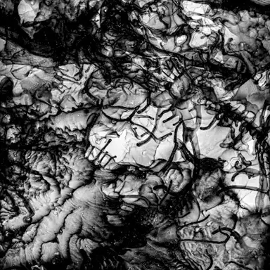 Sleeping Ink
