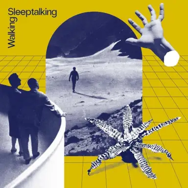Walking Sleeptalking