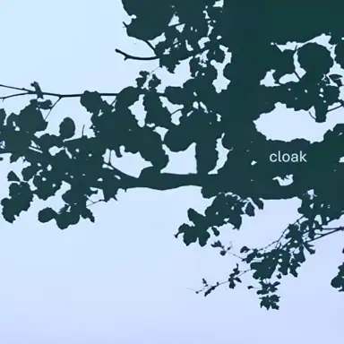 Cloak
