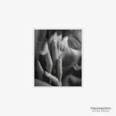 The Inventory of Our Desire