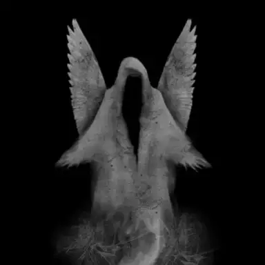 Wraith