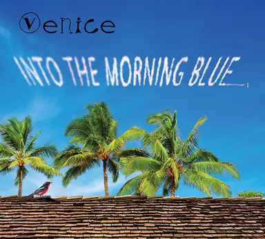 Into the Morning Blue