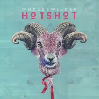 Hotshot