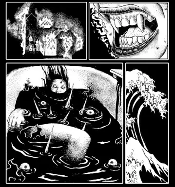 Intercourse / The Asound Split