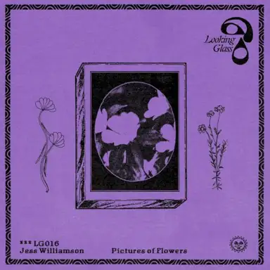 Pictures of Flowers