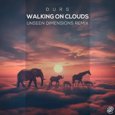 Walking on Clouds (Unseen Dimensions remix)