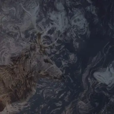 Lost in Taiga