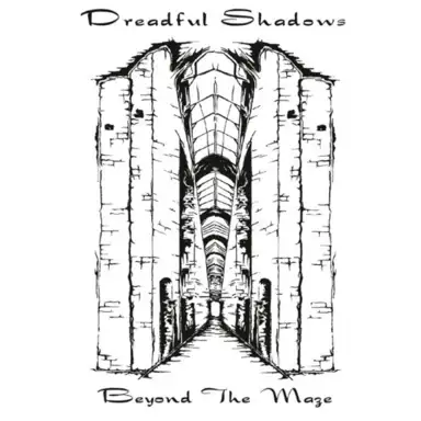 Beyond the Maze