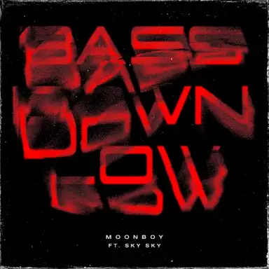 BASS DOWN LOW