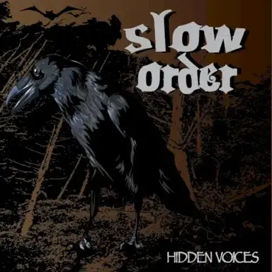 Hidden Voices