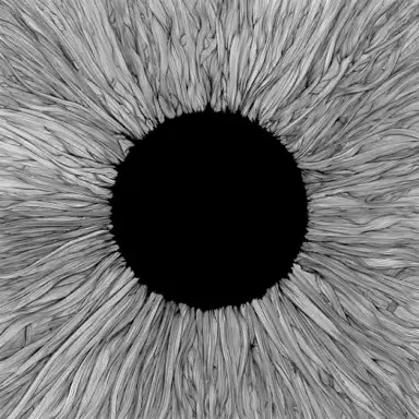 Napalm (Re‐Witnessed)