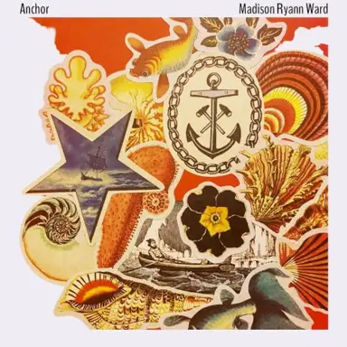 Anchor