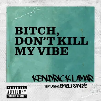 Bitch, Don’t Kill My Vibe (remix)