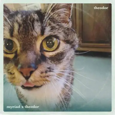 Theodor (remix)