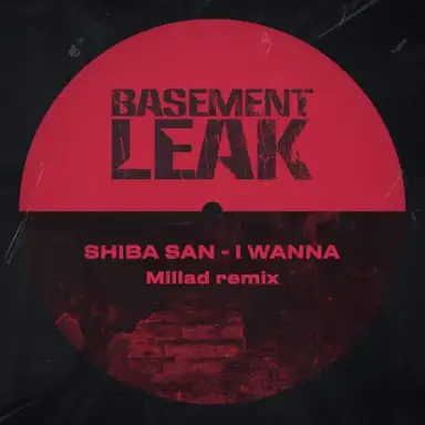 I Wanna (Millad remix)