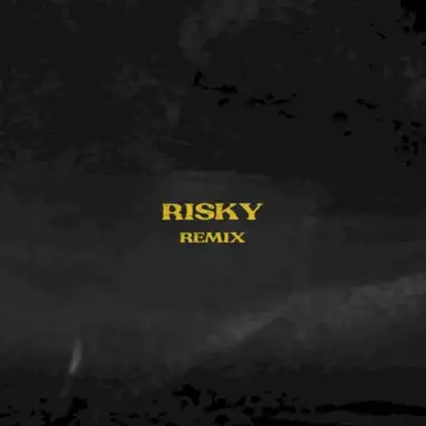 Risky (Remix)