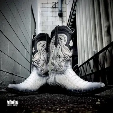 Alligator Boots