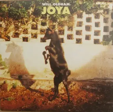 Joya