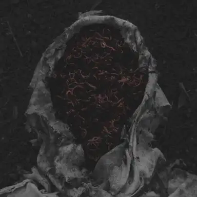 Stillamentum