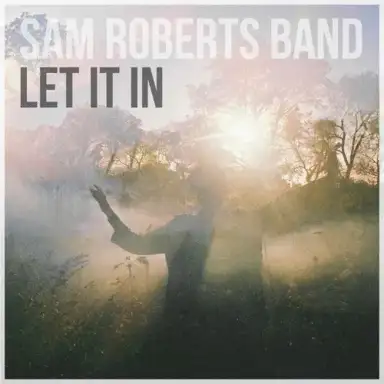 Let It In