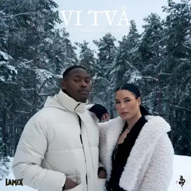 Vi Två