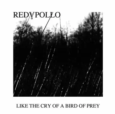 Like The Cry Of A Bird Of Prey