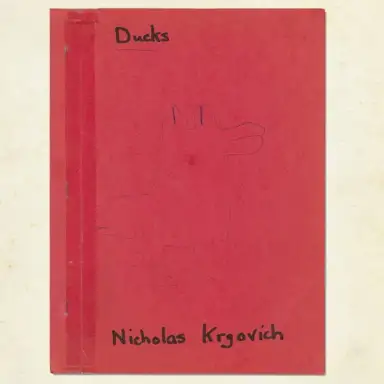 Ducks