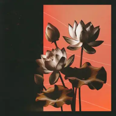 Lotus