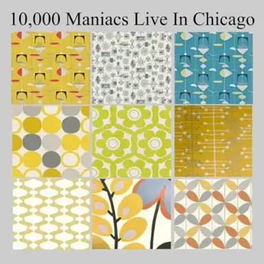 Live In Chicago