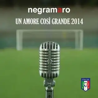 Un amore così grande 2014