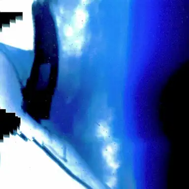 Particle Ocean