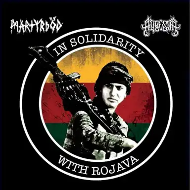 In Solidarity With Rojava