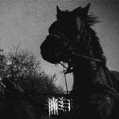 Мрак II