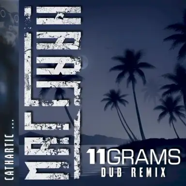 Cathartic (11grams dub remix)