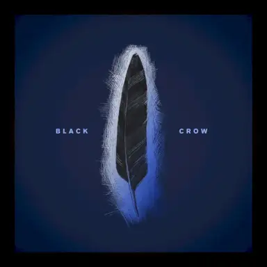 Black Crow