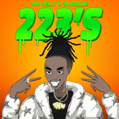 223’s