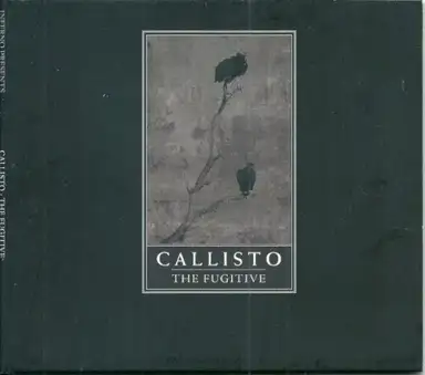 The Fugitive