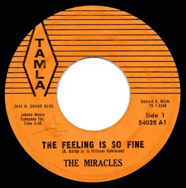 The Feeling Is So Fine