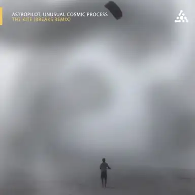 The Kite (Breaks remix)
