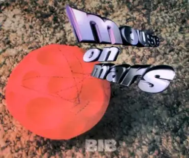 Bib